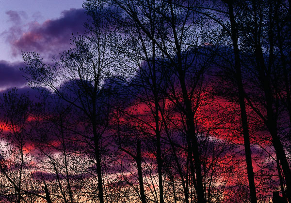 Magic-Moments-Prints-07